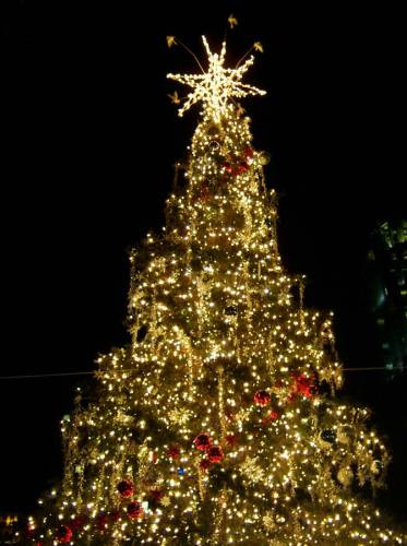 NYC_2006-12-11 17-48-30